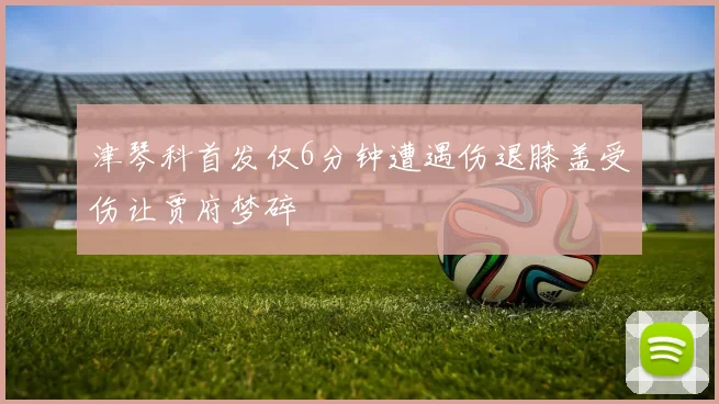 津琴科首发仅6分钟遭遇伤退膝盖受伤让贾府梦碎