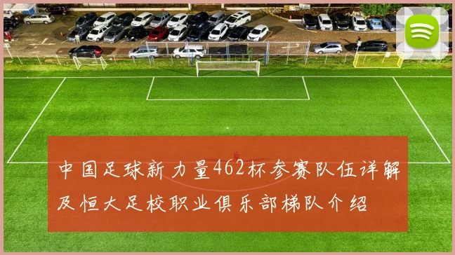 中国足球新力量462杯参赛队伍详解及恒大足校职业俱乐部梯队介绍