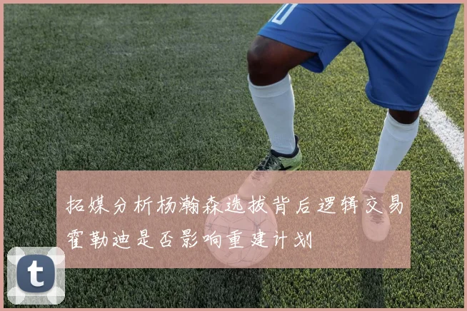 拓媒分析杨瀚森选拔背后逻辑交易霍勒迪是否影响重建计划