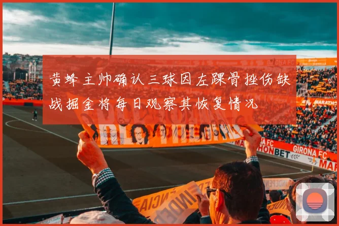 黄蜂主帅确认三球因左踝骨挫伤缺战掘金将每日观察其恢复情况