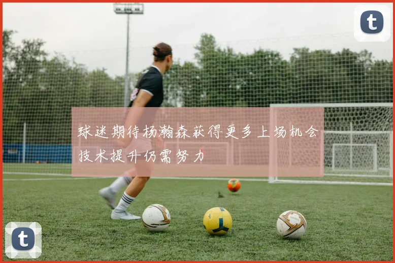 球迷期待杨瀚森获得更多上场机会技术提升仍需努力