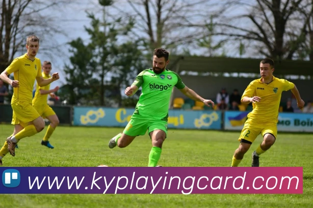 多媒体互动体验